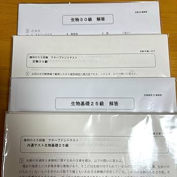 四谷学院 夏期・冬期講習/特訓 通期 共通テスト対策 テキスト 55段階 未使用 四谷学院 夏期・冬期講習/特訓 通期 共通テスト対策 テキスト 55